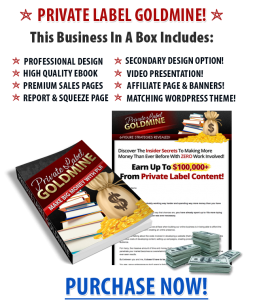 PLR Goldmine Package